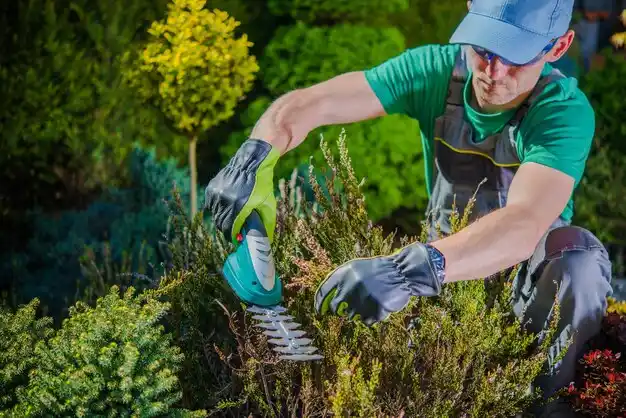 landscaping services Pierce